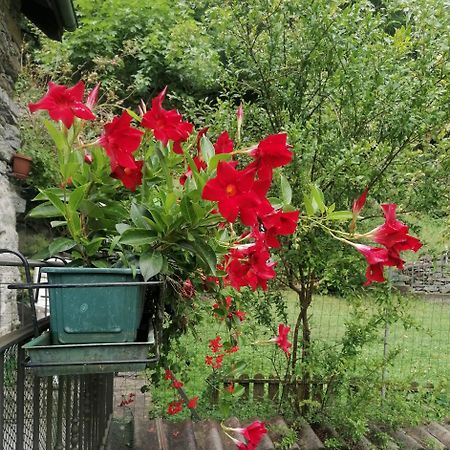 Battigio Casa Prucciヴィラ エクステリア 写真